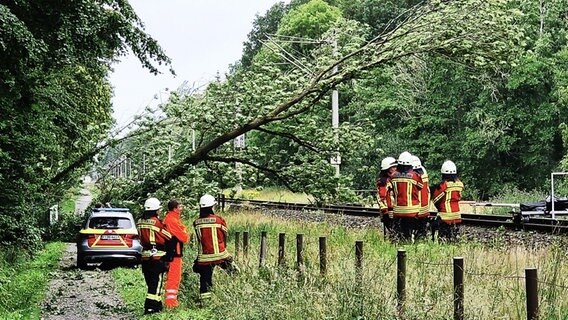 Einsatzkräfte der Feuerwehr stehen neben einem umgestürzten Baum über der gesperrten Bahnstrecke zwischen Oldenburg und Leer. © dpa-Bildfunk Foto: NWM-TV/dpa