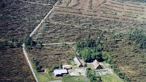 Ein zerstörtes Waldgebiet aus der Luft fotografiert. © Niedersächsische Landesforsten 