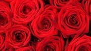 Blüten roter Rosen für den Valentinstag warten in einem Blumenladen auf Käufer. © dpa-Bildfunk Foto: Roland Weihrauch