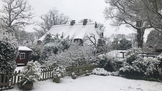 Schnee liegt im Landkreis Harburg. © NDR Foto: Hannah Mosbach