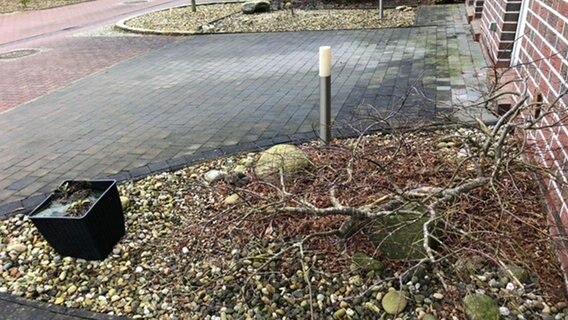 Der Schottergarten von Familie Wegbünder. © Ökowerk Emden 
