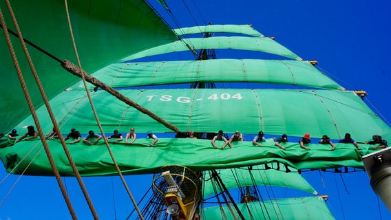 Menschen hissen die Segel der Alexander von Humboldt II. © NDR Foto: Peter Becker