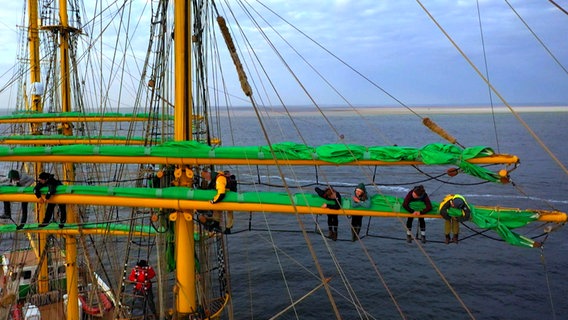 Junge Menschen arbeiten im Mast eines Segelschiffes. © NDR 