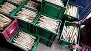 Ein Erntehelfer verlädt Kisten mit frisch geernteten Spargel. © dpa-Bildfunk Foto: Hauke-Christian Dittrich