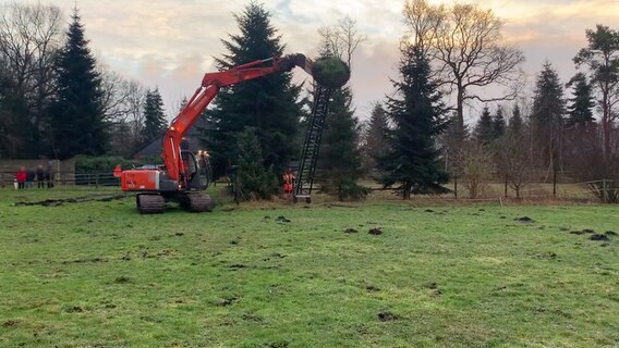 Ein Bagger demontiert einen Turm mit einem Storchennest in Ovelgönne. © NonstopNews 