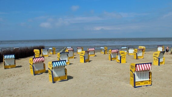 Leere Strandkörbe stehen an einem Strand. Im Hintergrund das Meer und blauer Himmel. © NDR Foto: Jessica Becker