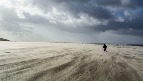Wind treibt den Sand über den Strand, während eine Person spazieren geht. © picture alliance / Jochen Tack | Jochen Tack Foto: Jochen Tack