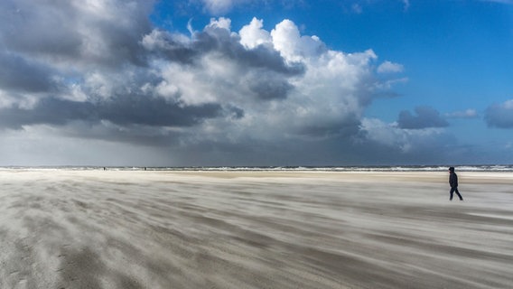 Starker Wind treibt den Sand über das Watt bei Ebbe. © picture alliance/Jochen Tack Foto: Jochen Tack