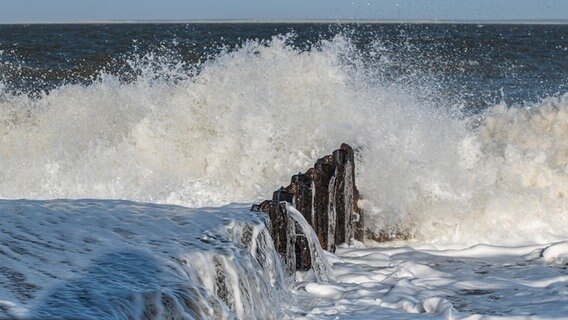 Sturm an der Küste. © picture alliance / Zoonar | Kay Augustin Foto: Kay Augustin
