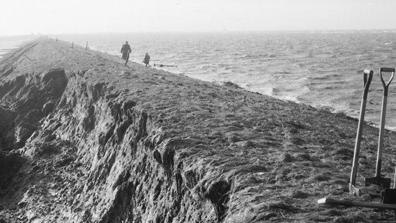 Der Seedeich am Augustgroden beim Mittagshochwasser am Tag nach der Sturmflut. © Archiv des Rüstringer Heimatbundes e.V. 