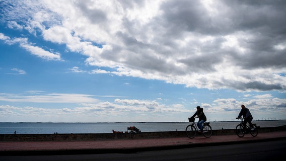 Eine Radfahrerin und ein Radfahrer fahren über den Deich an der Nordseeküste. © picture alliance Foto: Sina Schuldt