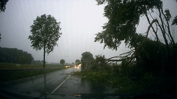 Aus der Windschutzscheibe eines Autos heraus ist ein umgestürzter Baum auf der Fahrbahn zu sehen. © Nord-West-Media TV 
