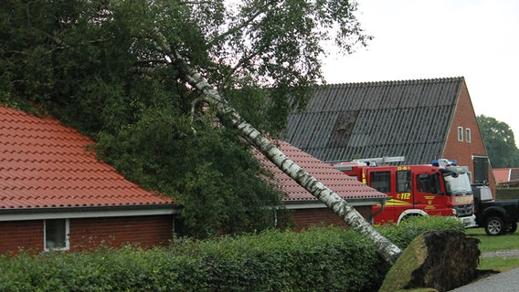 Ein umgestürzter Baum liegt auf einem Haus. © Kreisfeuerwehrverband Aurich e.V. 