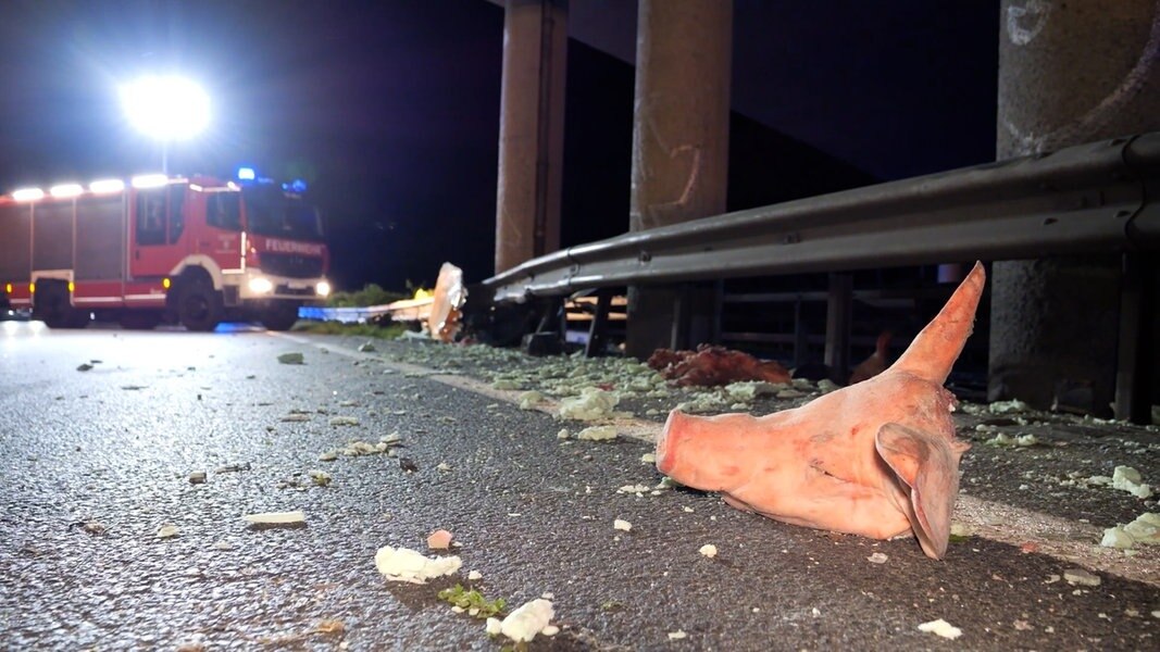 Schweineköpfe auf Fahrbahn: A27 Richtung Süden gesperrt | NDR.de -  Nachrichten - Niedersachsen - Studio Oldenburg