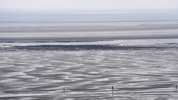 Blick auf das Wattenmeer vor der Insel Neuwerk. © picture alliance/dpa/dpa-POOL Foto: Marcus Brandt