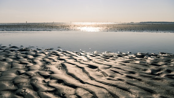 Die Sonne spiegelt sich auf dem Meer und Watt. © picture alliance/dpa | Mohssen Assanimoghaddam Foto: Mohssen Assanimoghaddam