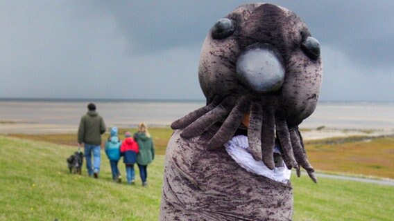 Ein Mensch in einem Kostüm einer Ringelgans im Wattenmeer © win win Film 