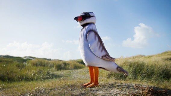 Ein Mensch verkleidet als Sandregenpfeifer im Wattenmeer © win win Film 