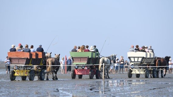 Beim Duhner Wattrennen fahren drei Kutschen mit Zuschauern umher. © dpa-Bildfunk Foto: Carmen Jaspersen