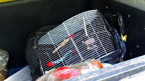Ein Vogelkäfig liegt in einer Mülltonne. © Nord-West-Media TV 