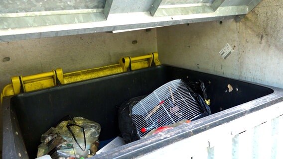 Ein Vogelkäfig liegt in einer Mülltonne. © Nord-West-Media TV 