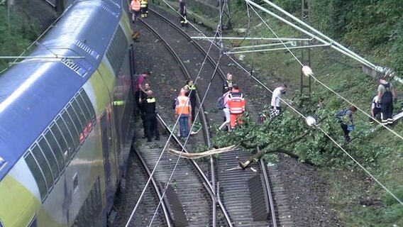 Fahrgäste steigen auf freier Strecke aus einem Zug aus. © TV Elbnews 