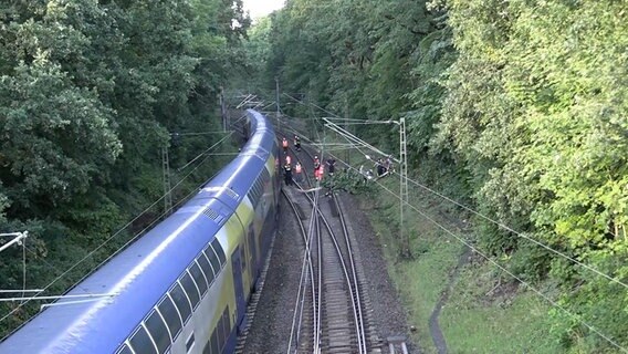 Fahrgäste steigen auf freier Strecke aus einem Zug aus. © TV Elbnews 