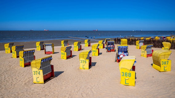 Strandkörbe stehen am Strand von Döse. © dpa-Bildfunk Foto:  Sina Schuldt/dpa