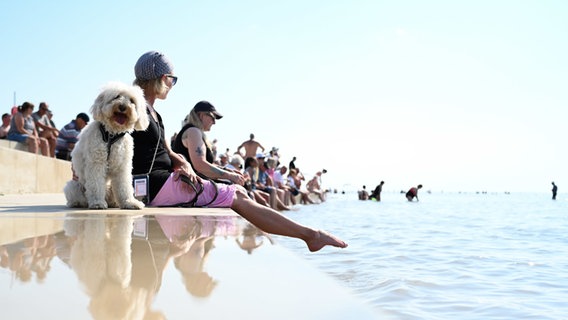 Eine Frau nimmt bei sommerlichem Wetter neben ihrem Hund ein erfrischendes Fußbad in der Nordsee. © Lars Penning/dpa Foto: Lars Penning