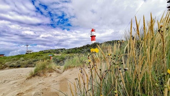 Ein Leuchtturm ist am Strand von Borkum zu sehen. © NDR Foto: Petra Quade