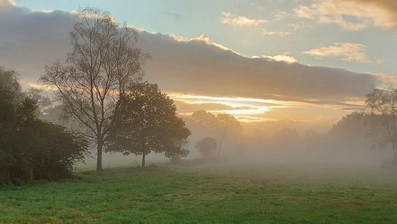 Über eine Wiese über der Nebel liegt geht die Sonne auf. © NDR Foto: Heike Elsner-Hibben