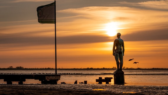 Ein Sonnenuntergang am Strand in Dangast. © NDR Foto: Heiko de Boer