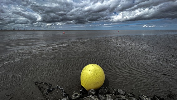 Ein Blick auf das Watt bei Tossens. © NDR Foto: Lars Lammers