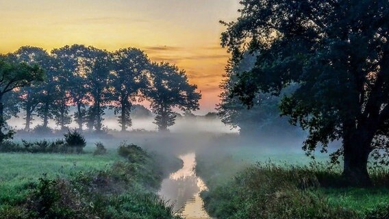 Morgennebel liegt über einen Bach. © NDR Foto: Gerrit Denekas