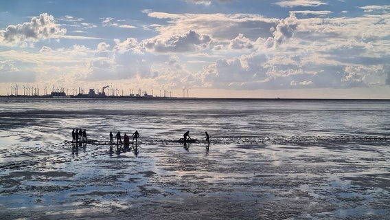 Schlickschlitten an der ostfriesischen Küste . © NDR Foto: Sieger Hansen
