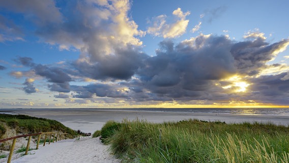 Ein Blick auf den Strand von Langeoog bei untergehender Sonne. © NDR Foto: Lorenz Wodzinski