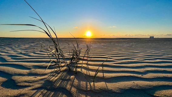 Die Sonne geht über dem Strand unter. © NDR Foto: Petra Quade