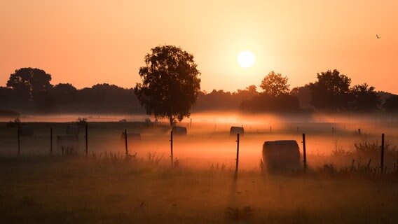 Die Sonne geht über einem Moor auf. © NDR Foto: Jasmin Behncke