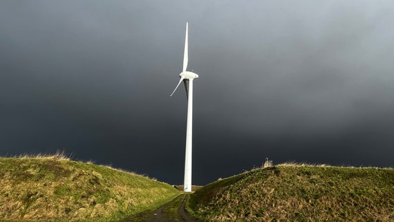 Windrad zwischen Grasdünen © NDR Foto: Gerrit Denekas