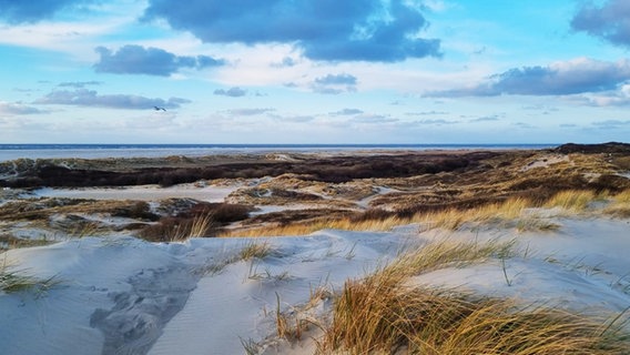 Ein Sonnenaufgang über der Nordseeinsel Borkum. © NDR Foto: Andrea Meeuw