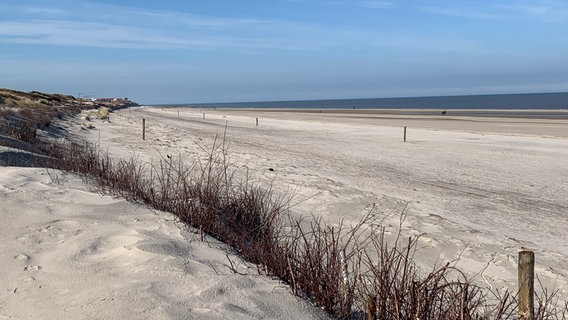 Das Bild zeigt einen Strand auf Wangerooge bei Sonnenschein. © NDR Foto: Rolf Johannes