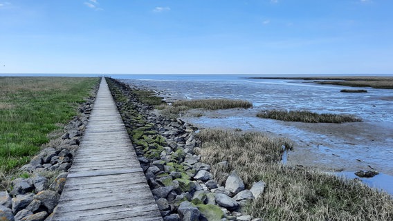 Ein Steg führt ins Wattenmeer. © NDR Foto: Monika Argiel