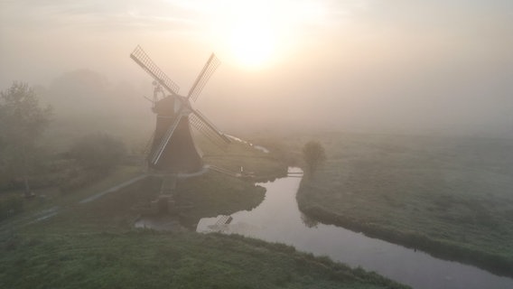 Eine Luftaufnahme zeigt eine Windmühle im Nebel. © Lars Penning/dpa Foto: Lars Penning
