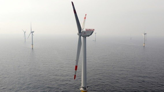 Eine Luftaufnahme zeigt einen Offshore-Windpark im Meer. © dpa-Bildfunk Foto: Ingo Wagner