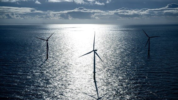 Der Offshore-Windpark Riffgat rund 15 Kilometer nördlich der Insel Borkum © dpa-Bildfunk Foto: Sina Schuldt