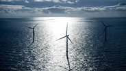 Der Offshore-Windpark Riffgat rund 15 Kilometer nördlich der Insel Borkum © dpa-Bildfunk Foto: Sina Schuldt
