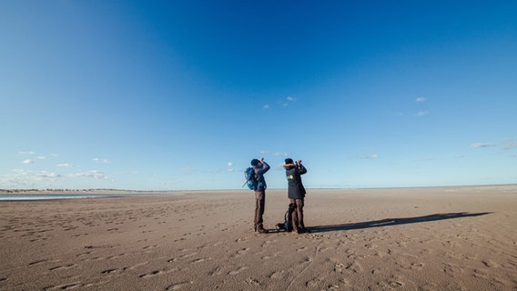 Zwei Nationalpark-Ranger schauen durch Ferngläser (Vogelbeobachtung auf Norderney). © Lukas Lehmann Foto: Lukas Lehmann