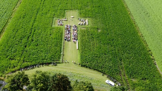 In einer kreuzförmigen Fläche in einem Maisfeld findet ein Gottesdienst statt. © NonstopNews Foto: NonstopNews