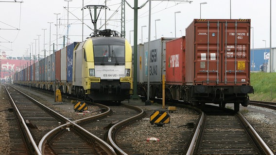Zwei Güterzüge mit Containern beladen stehen auf Bahngleisen. © dpa-Bildfunk Foto: Carmen Jaspersen