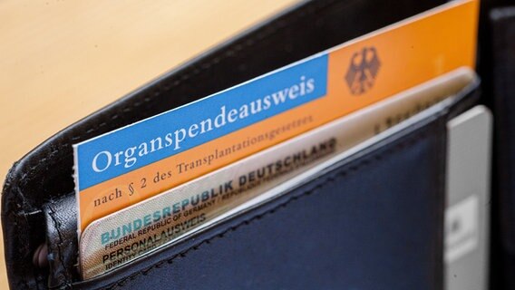 Ein Organspendeausweis und ein Personalausweis stecken in einer Brieftasche. © picture alliance/photothek.de/Thomas Trutschel 